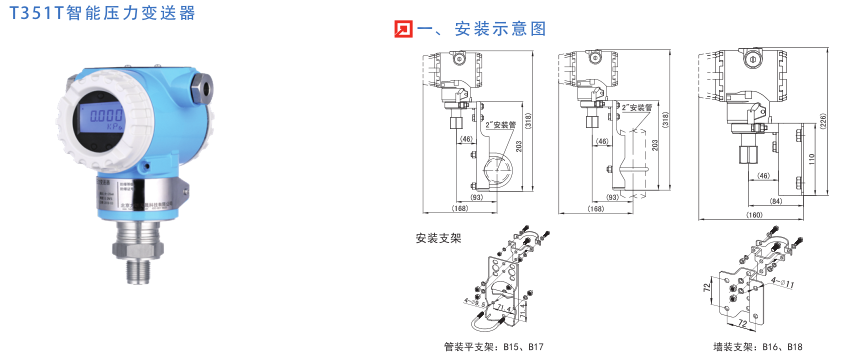 T351_系列智能压力变送器 (图11)